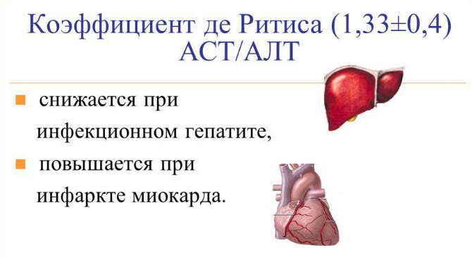 Калькулятор де ритиса. Коэффициент де Ритиса при инфаркте. Коэффициент де Ритиса норма. Коэффициент де Ритиса при заболеваниях печени. Коэффициент де Ритиса при циррозе.