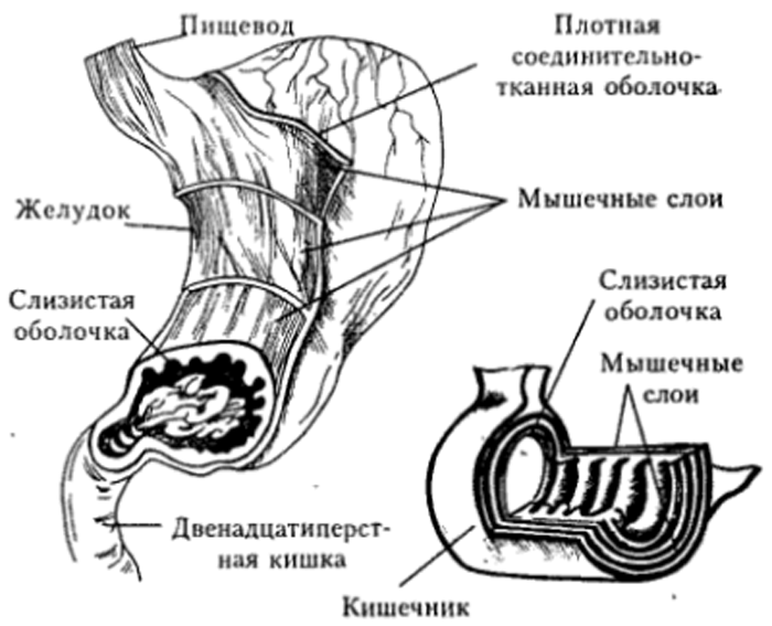 Строение канала